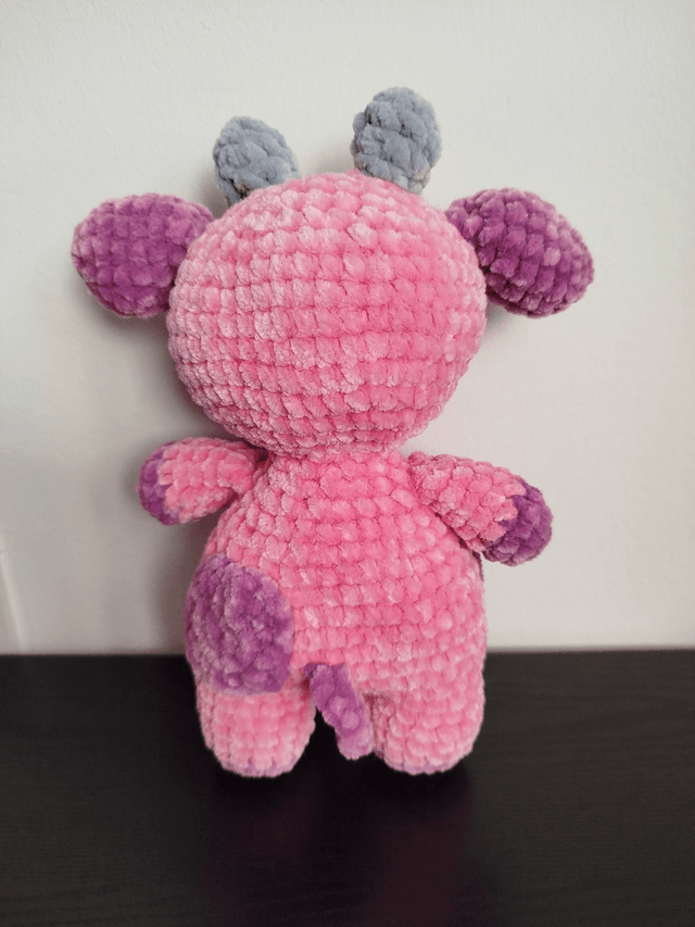 Framboise et Myrtille