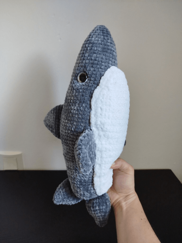 Brume le requin