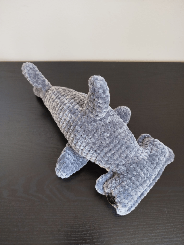 Enclume le requin marteau