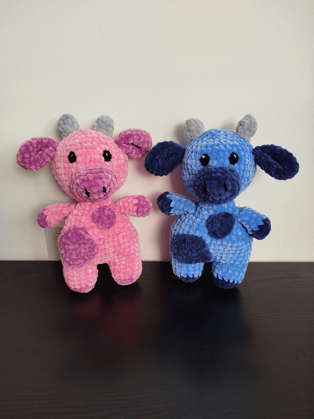 Framboise et Myrtille