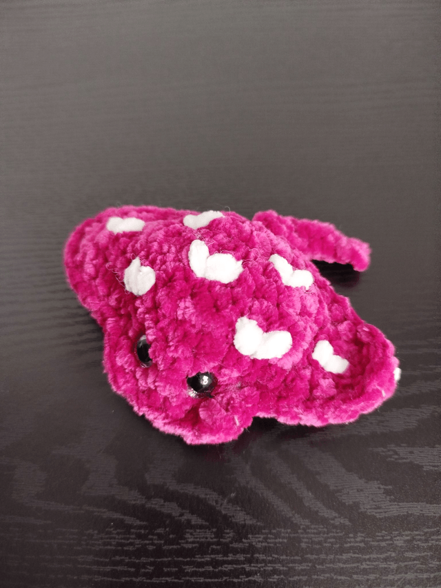Mini raie