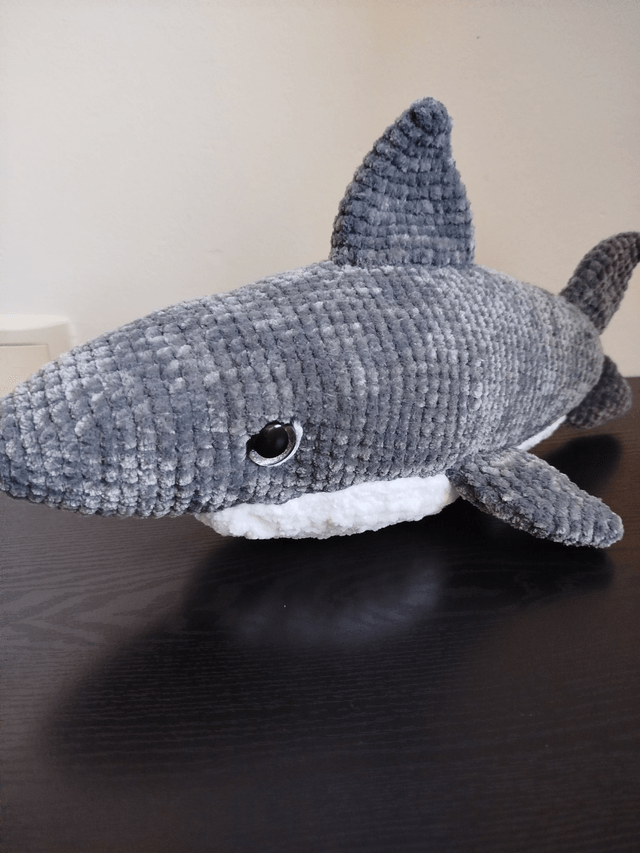 Brume le requin