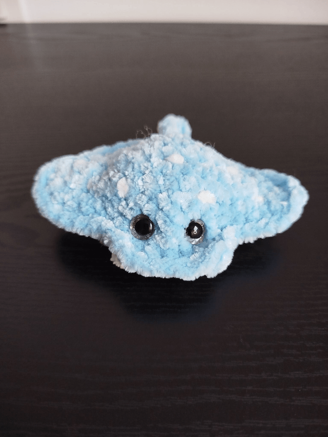 Mini raie