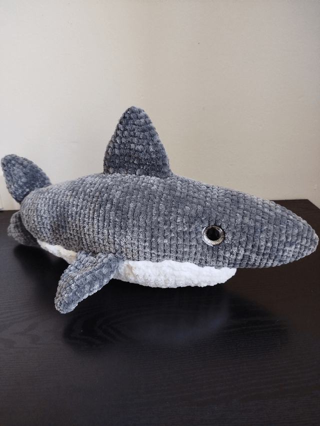 Brume le requin