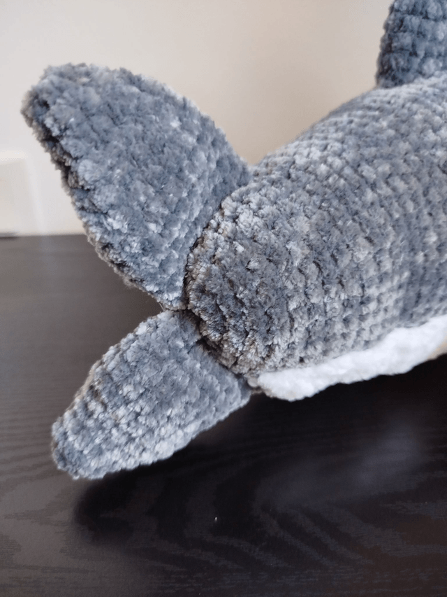 Brume le requin