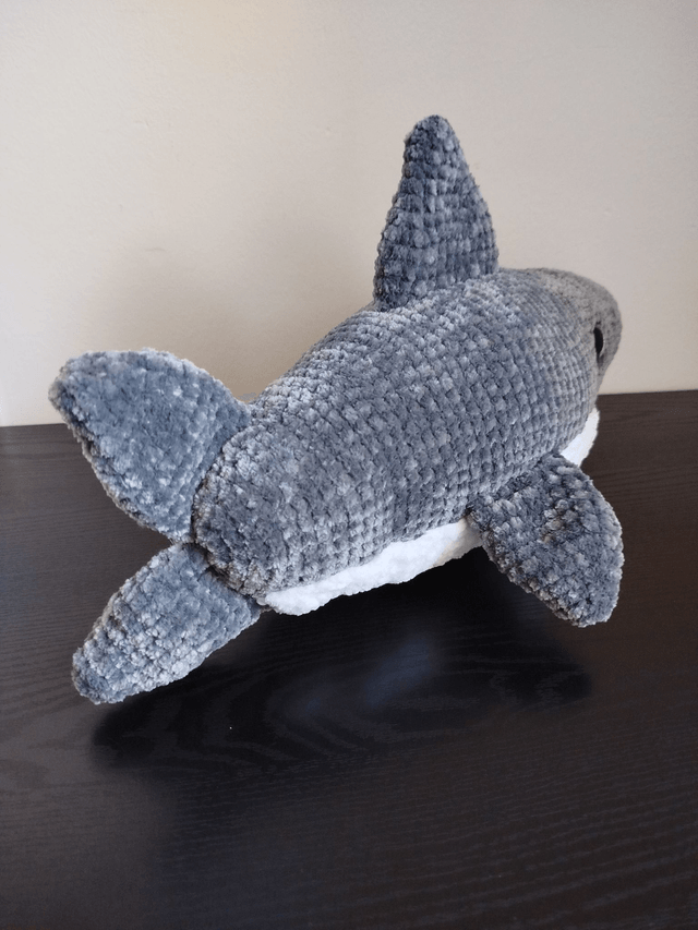 Brume le requin