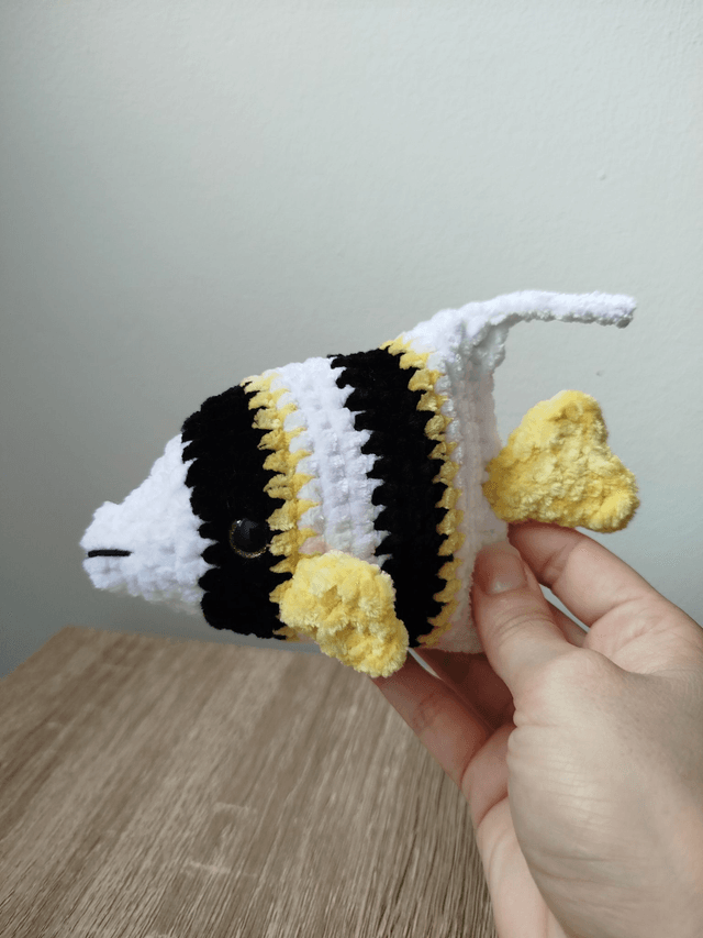Lux le poisson Ange